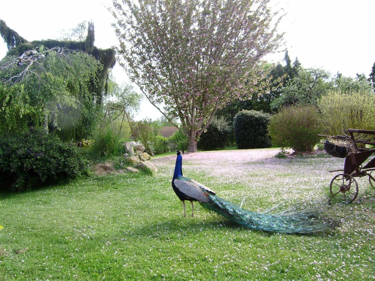 La Ferme Du Bourg Bed & Breakfast Eraines Bagian luar foto